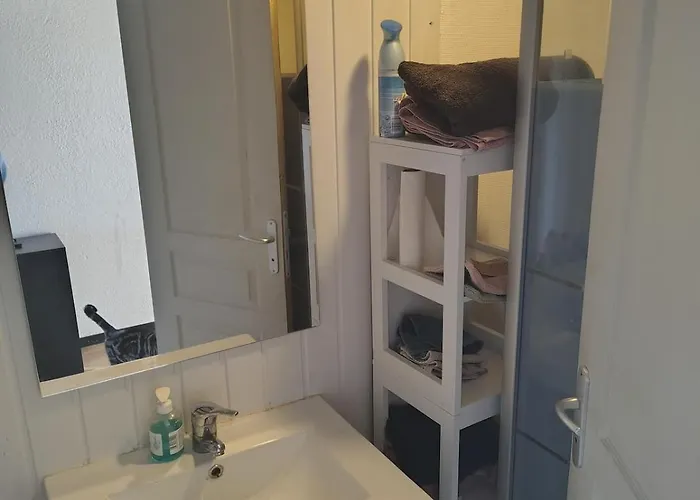 Avec Au Calme Face A Un Champs Castelginest